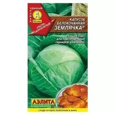 Семена Капуста белокочанная "Землячка" (стандарт)