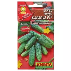 Семена Огурец "Чудо карапуз F1" (стандарт)