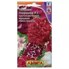 Семена Петуния крупноцветковая махровая - смесь окрасок "Глориоза F1" (драже в пробирке)