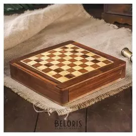 Шахматы на магните выдвижные 20х20х4 см