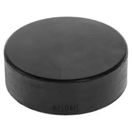 Шайба хоккейная взрослая, D=7,5 см, H=2,5 см, 167 г