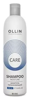 Шампунь увлажняющий (Объем 250 мл)