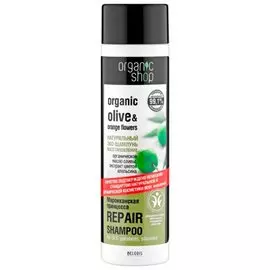 Шампунь восстанавливающий для волос Марроканская принцесса (Объем 280 мл)