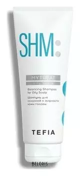 Шампунь для склонной к жирности кожи головы Tefia Mytreat