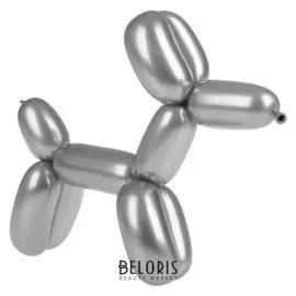 Шар для моделирования 160 «Хром», набор 22 шт., цвет серебряный