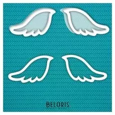 Шейкер "Крылья" (Большой) 9,5 х 5,7 см, набор 10 деталей