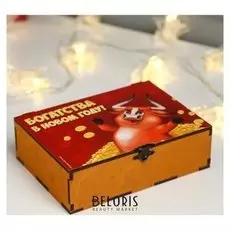 Шкатулка "Богатсва" 13х18 см