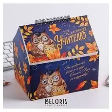 Шкатулка - домик "Классному учителю", + планер 50 листов