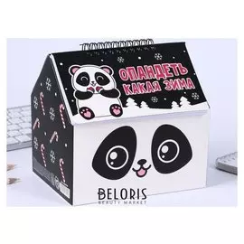 Шкатулка - домик опандеть, какая зима, + планер 50 листов