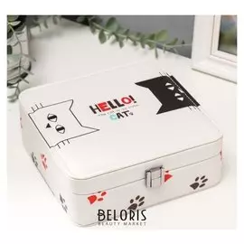 Шкатулка кожзам для украшений "Чёрный и белый кот" 6,5х18х18 см