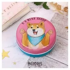 Шкатулка круглая "А у меня лапки"