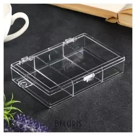 Шкатулка пластик для мелочей "3 деления" прозрачная 2,5х9х12,7 см