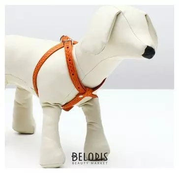 Шлейка кожаная для кошек и маленьких собак,ОШ19-30 см,ОГ 25-37 см,1.2 см, микс видов, цветов