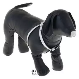 Шлейка кожаная двухслойная, регулируемая многоразмерная, 75 х 1,2 см, белая