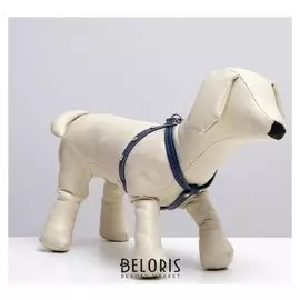 Шлейка кожаная двухслойная со стразами, регулируемая многоразмерная, 75 х 1,2 см, микс