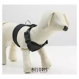 Шлейка мягкая из неопрена, размер M, черная