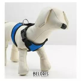 Шлейка мягкая из неопрена, размер M, синяя