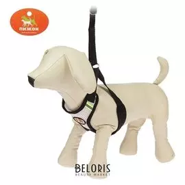 Шлейка регулируемая дышащая, светоотражающая, размер S, черная