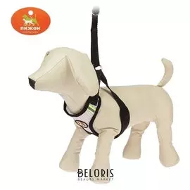 Шлейка регулируемая дышащая, светоотражающая, размер XL, черная