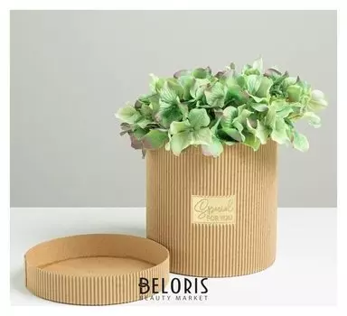 Шляпная коробка из микрогофры Special For You, 15 х 15 см