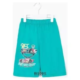 Шорты для мальчика, цвет изумруд, рост 104 см (4 года)