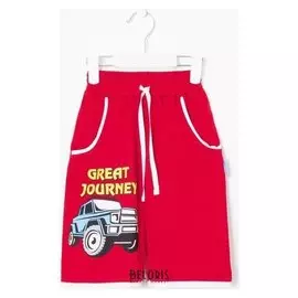 Шорты для мальчика, цвет марсала, рост 104 см (4 года)