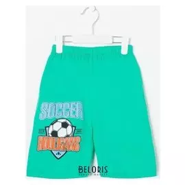 Шорты для мальчика, цвет ментол, рост 122 см (7 лет)