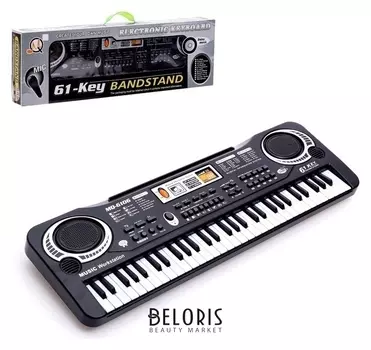 Синтезатор «Клавишник», с микрофоном, 61 клавиша, LED дисплей, от сети
