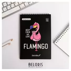 Скетчбук с черными листами "Flamingo", А5 40 листов
