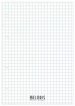 Сменный блок к тетради на кольцах 80 л. клетка