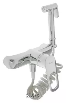 Смеситель для биде настенный Accoona A3117, с гигиеническим душем, латунь, хром