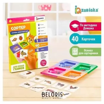 Сортер Изучаем животный мир с карточками Домана