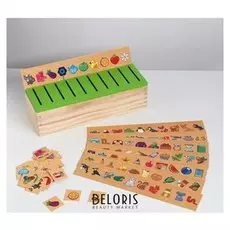 Сортер «Окружающий мир»