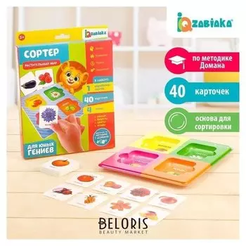 Сортер Растительный мир с карточками Домана