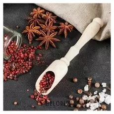 Совок для специй, 15,5×2,5 см, массив бука