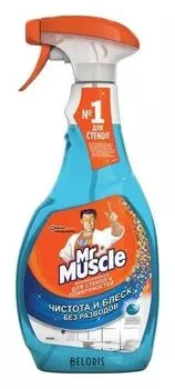 Средство для мытья стекол и зеркал "После дождя"