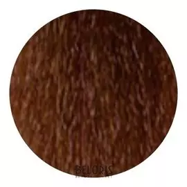 Стойкая крем-краска без аммиака Permanent Hair Color Ammonia Free