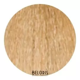 Стойкая крем-краска Permanent Hair Color