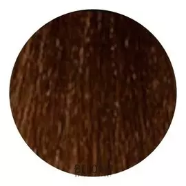 Стойкая крем-краска Permanent Hair Color