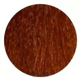 Стойкая крем-краска Permanent Hair Color