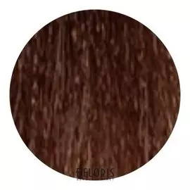 Стойкая крем-краска Permanent Hair Color