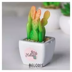 Суккулент в керамическом горшочке Hello, 10.5 × 5.5 × 6 см