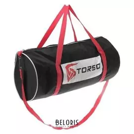 Сумка автомобильная Torso 47 X 22 X 22 см, 2 отдела, черная