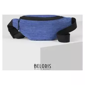 Сумка поясная, отдел на молнии, цвет голубой