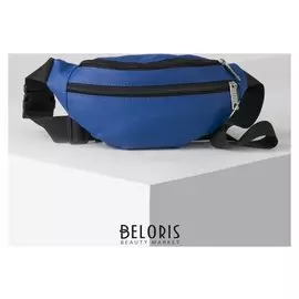 Сумка поясная, отдел на молнии, наружный карман, цвет синий