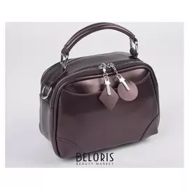 Сумка жен 6817-2, отд на молнии, н/карман, коричневый