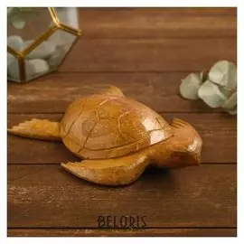 Сувенир из дерева "Черепаха" 20х14х4 см