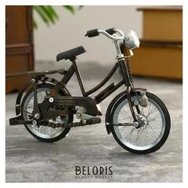 Сувенир из нержавеющей стали "Велосипед" 20х14х9 см