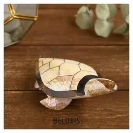 Сувенир из ракушки "Бежевая черепашка" 14х10х5 см