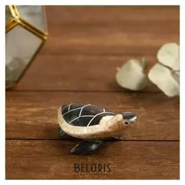 Сувенир из ракушки "Черепашка" 8х5,5х2,5 см